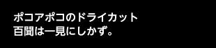 ポコアポコのドライカット　百聞は一見にしかず。